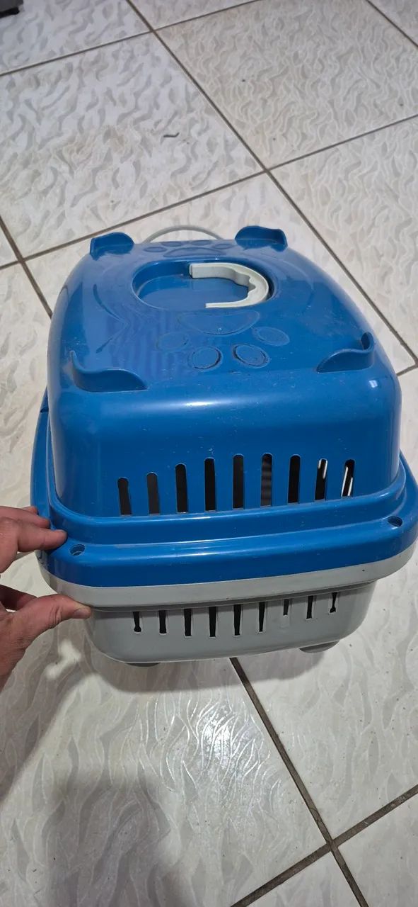 Transporte para Gatos e Cães de Pequeno Porte