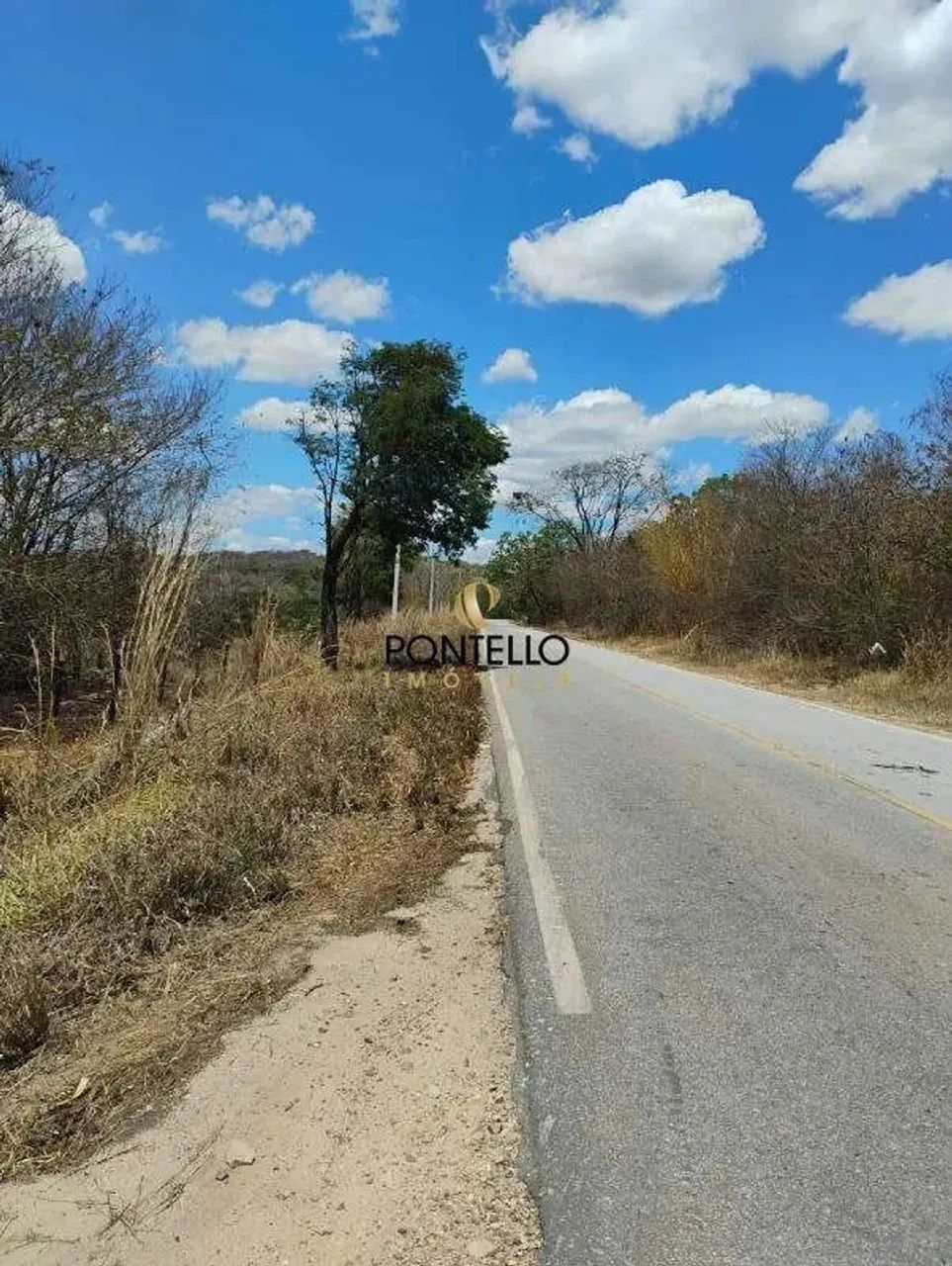 Terreno Venda Campestre - Foto 4