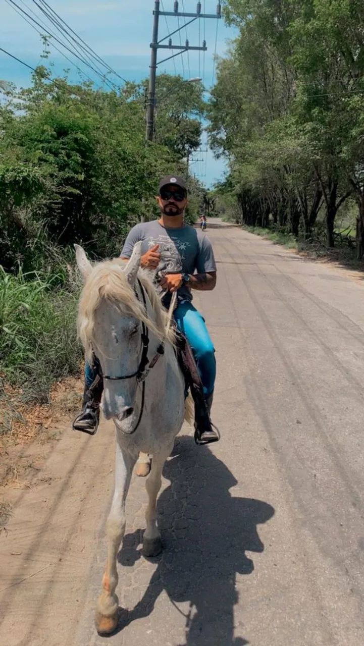 Vendo cavalo mangalarga. - Foto 2