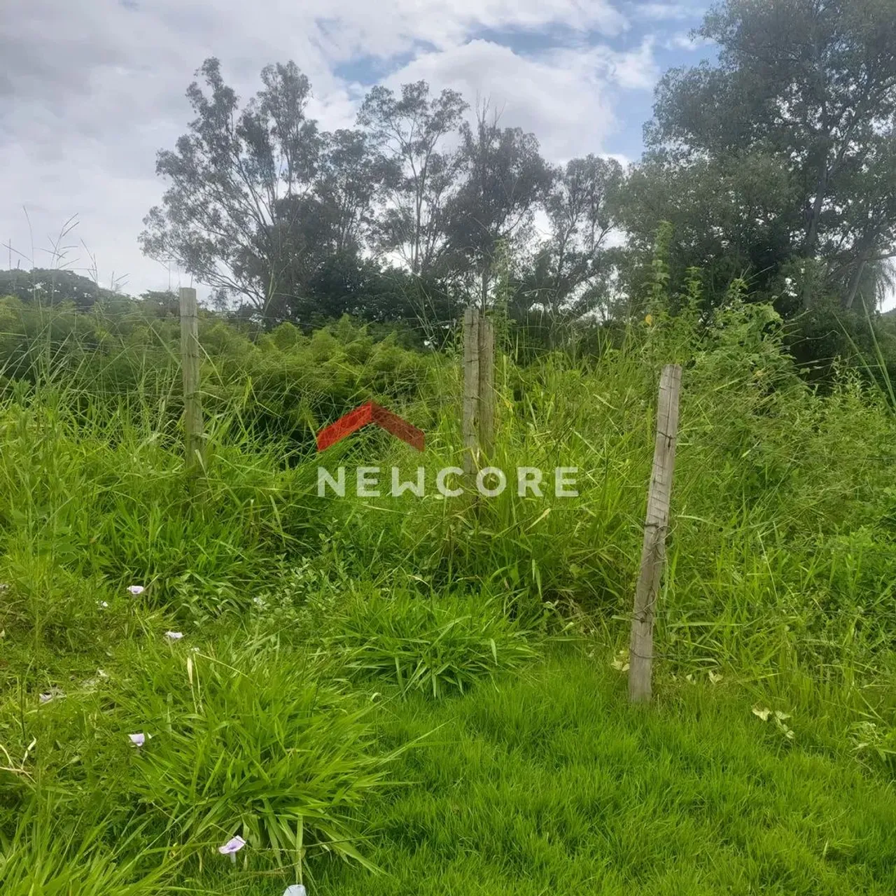 Lote em Rua Dois Mil Quatrocentos e Sessenta e Oito - Jardim Vitória - Belo Horizonte/MG