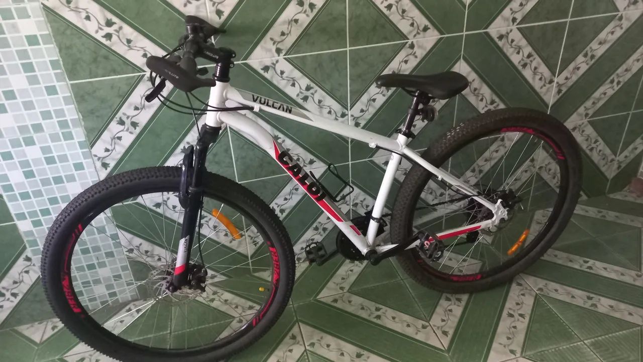 Bike Caloi Aro 29