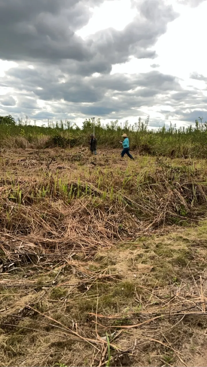 Terreno de chácara
