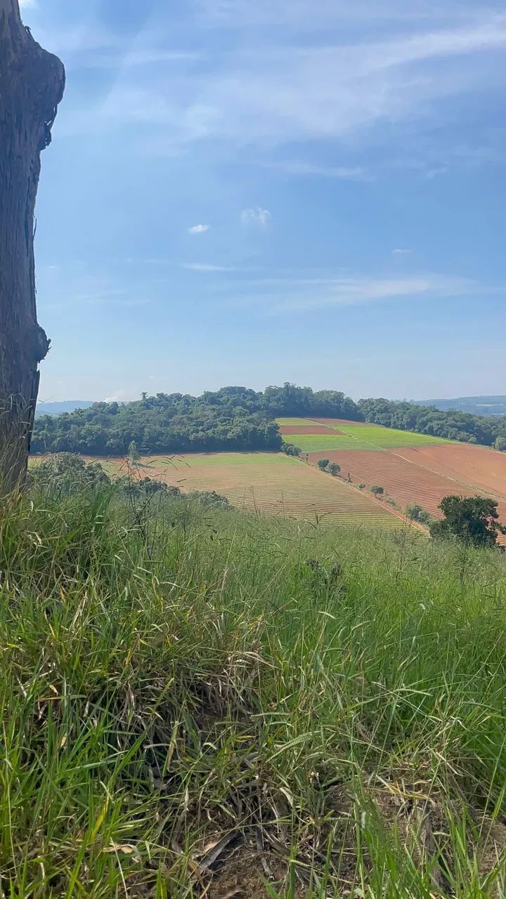 Imóvel para venda possui 500 metros quadrados em Cachoeira - Ibiúna - SP - Foto 5