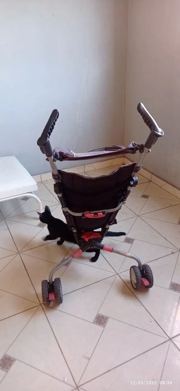 Carrinho de Bebê Colo - Foto 3