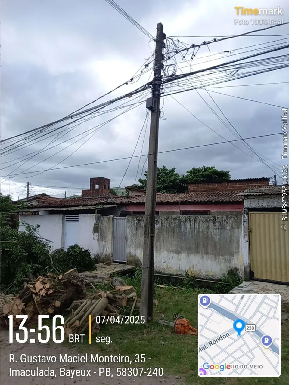 Poda de árvores de alto risco - Foto 2