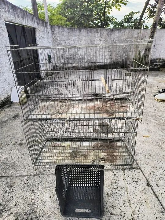 Gaiola criadeiras  - Foto 3