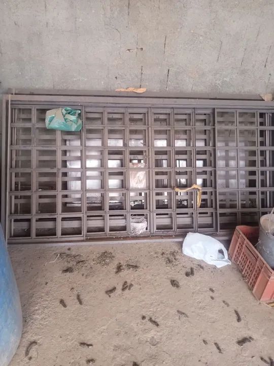 Janela grávia novas