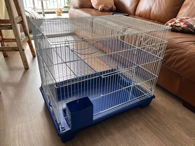 Gaiola Roedores Rato Twister - Foto 6