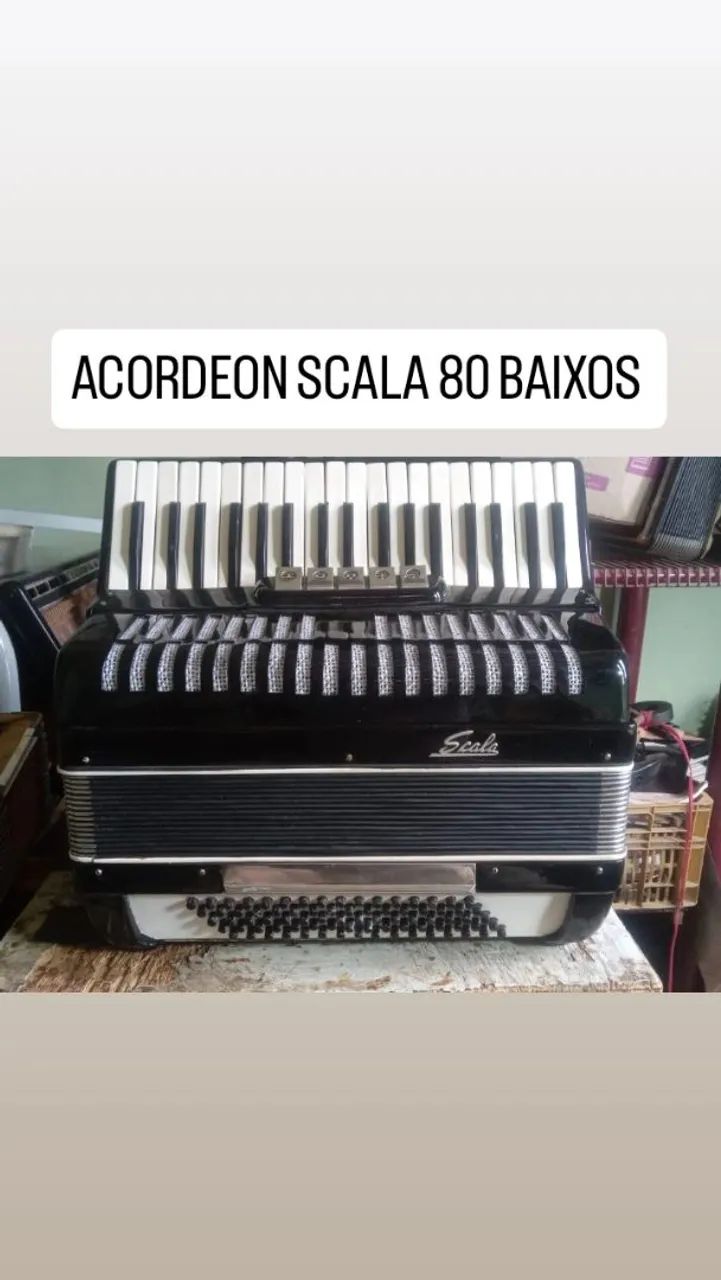ACCORDION SANFONA (SPECIAL PRICES) MUSIC LESSONS FOR ALL AGES64298714546435121