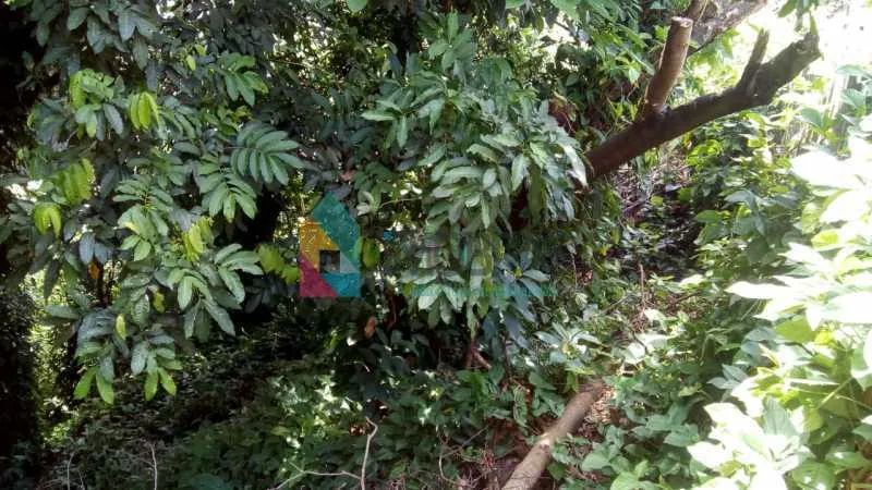 TERRENO NO COSME VELHO!!!! - Foto 4