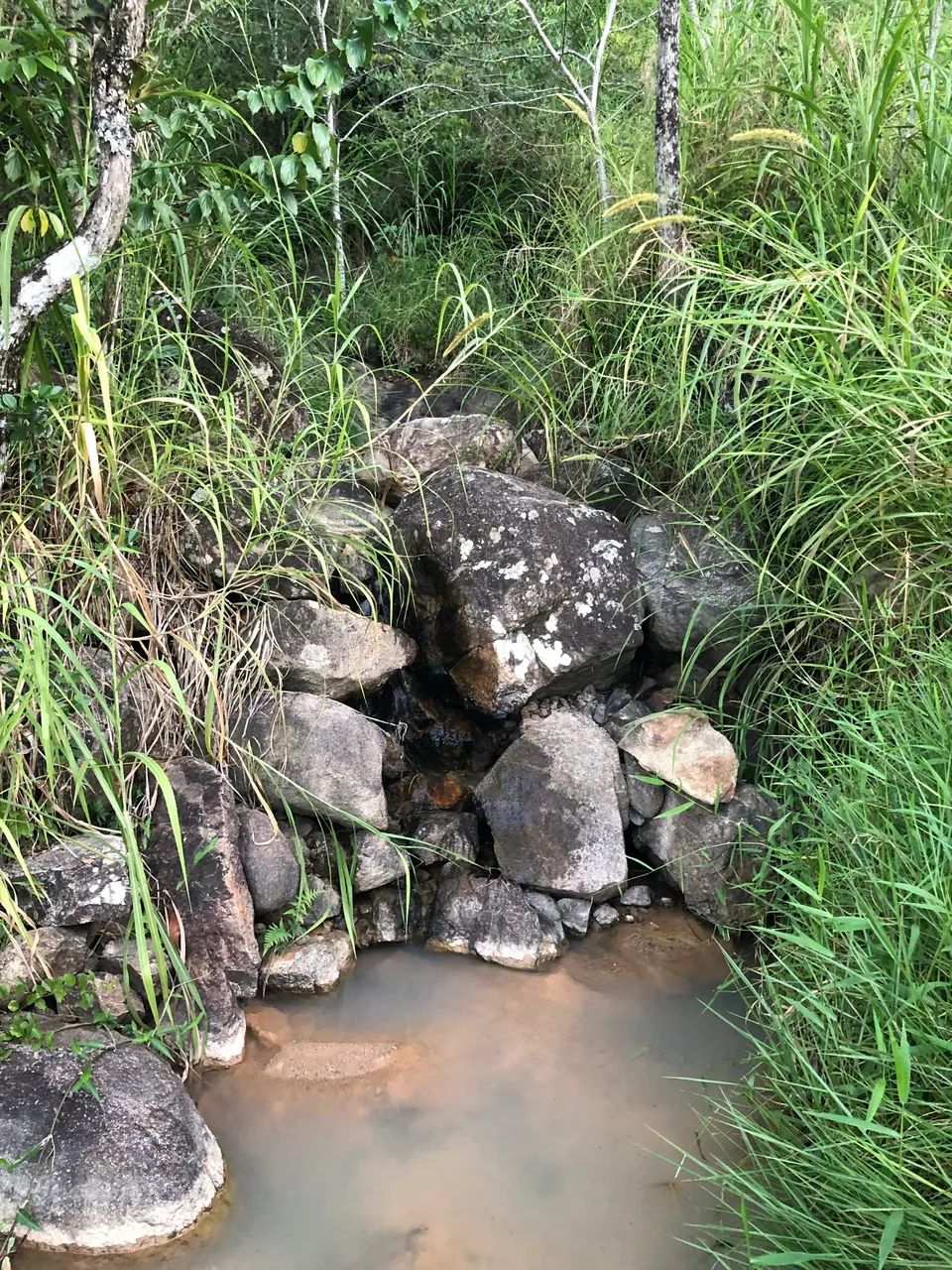 Terreno a venda  - Foto 3