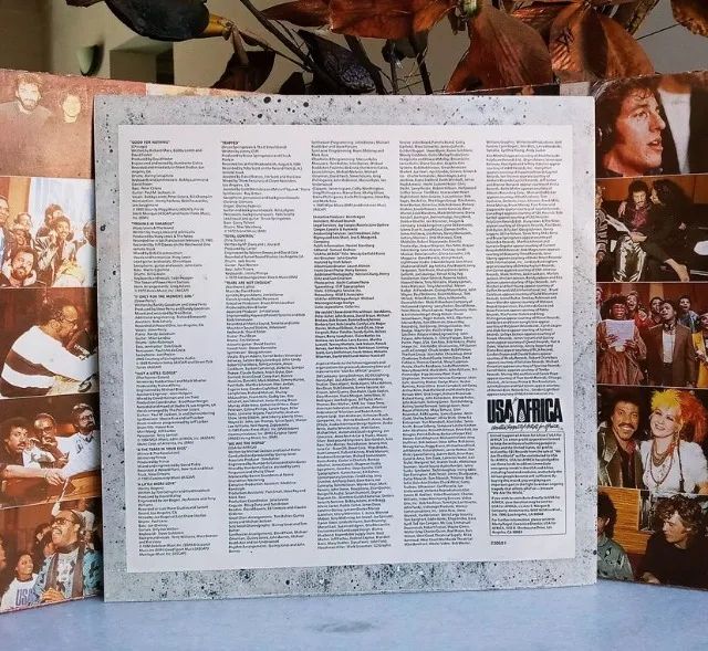 lp vinil - we are the world - michael jackson - com encarte - Foto 5