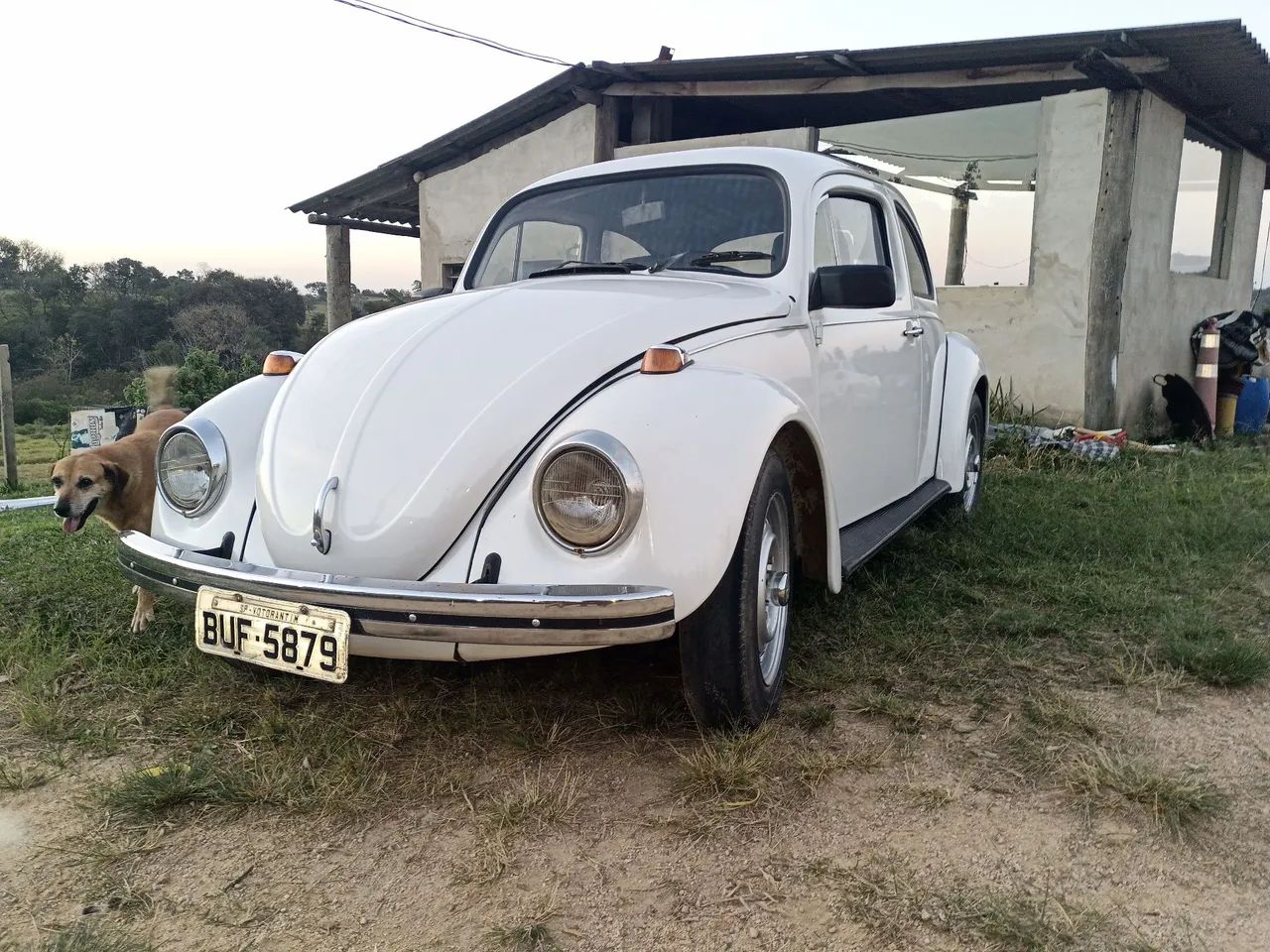 Volkswagen Fusca Fusca (gasolina) 1977