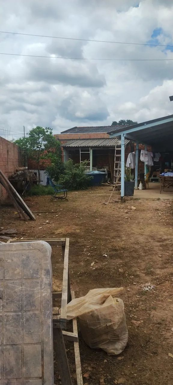 Foto - Porto Velho - Castanheira