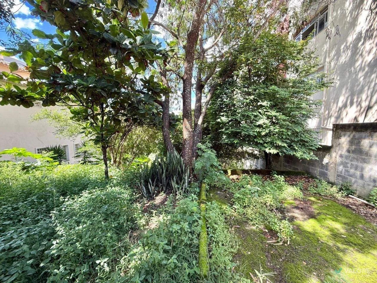 Lote  Santa Lúcia - Foto 2