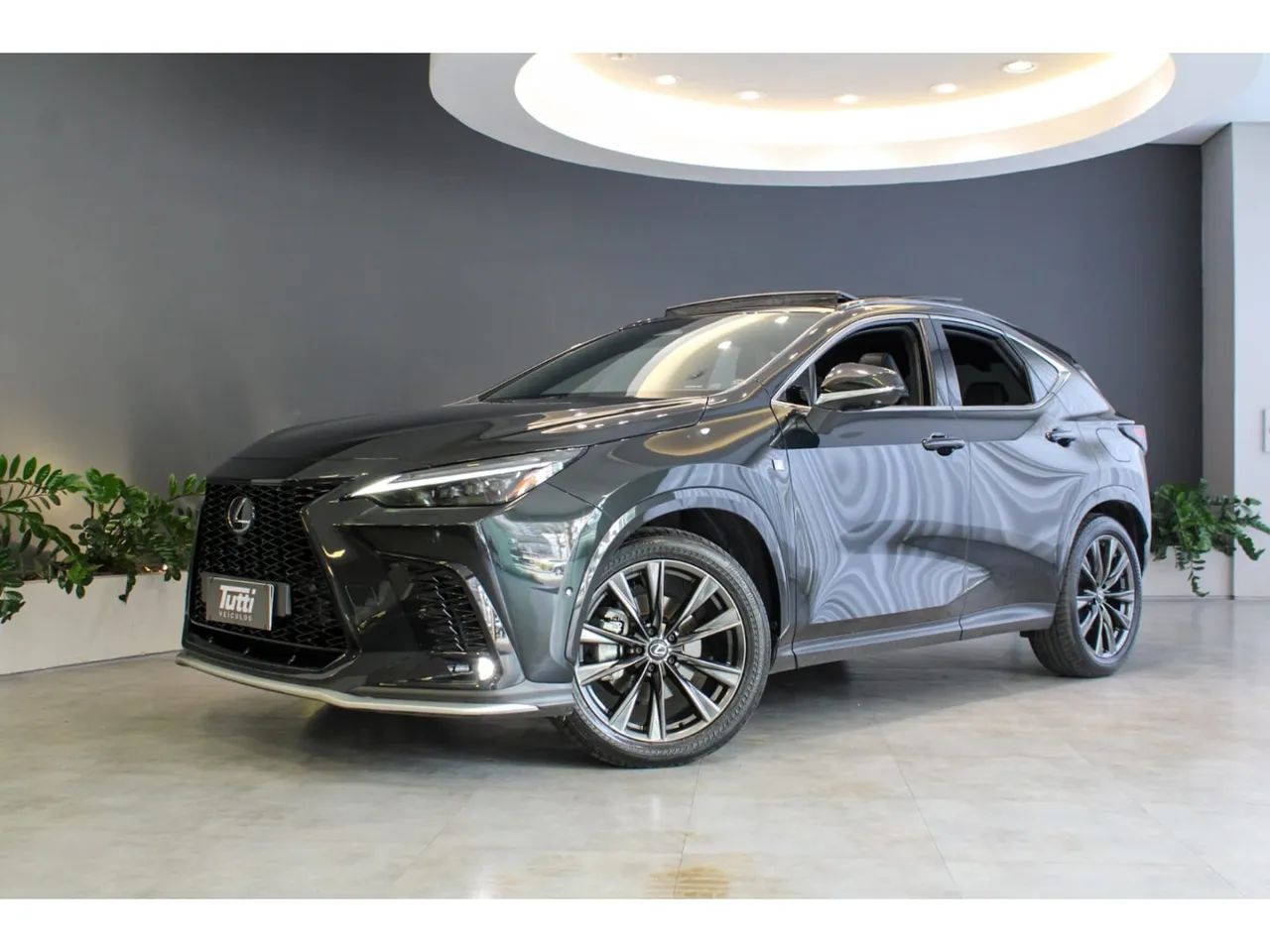 Lexus NX-350h F-sport 2.5 16V Aut. (hybrid), foto 2 de 14