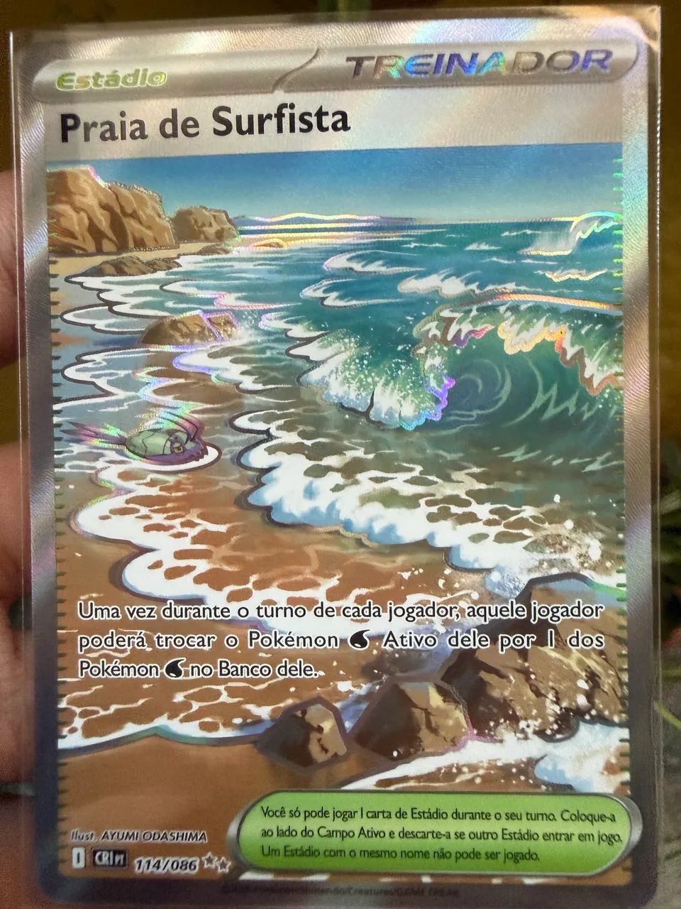 Pokémon TCG - Praia de Surfista 114/086