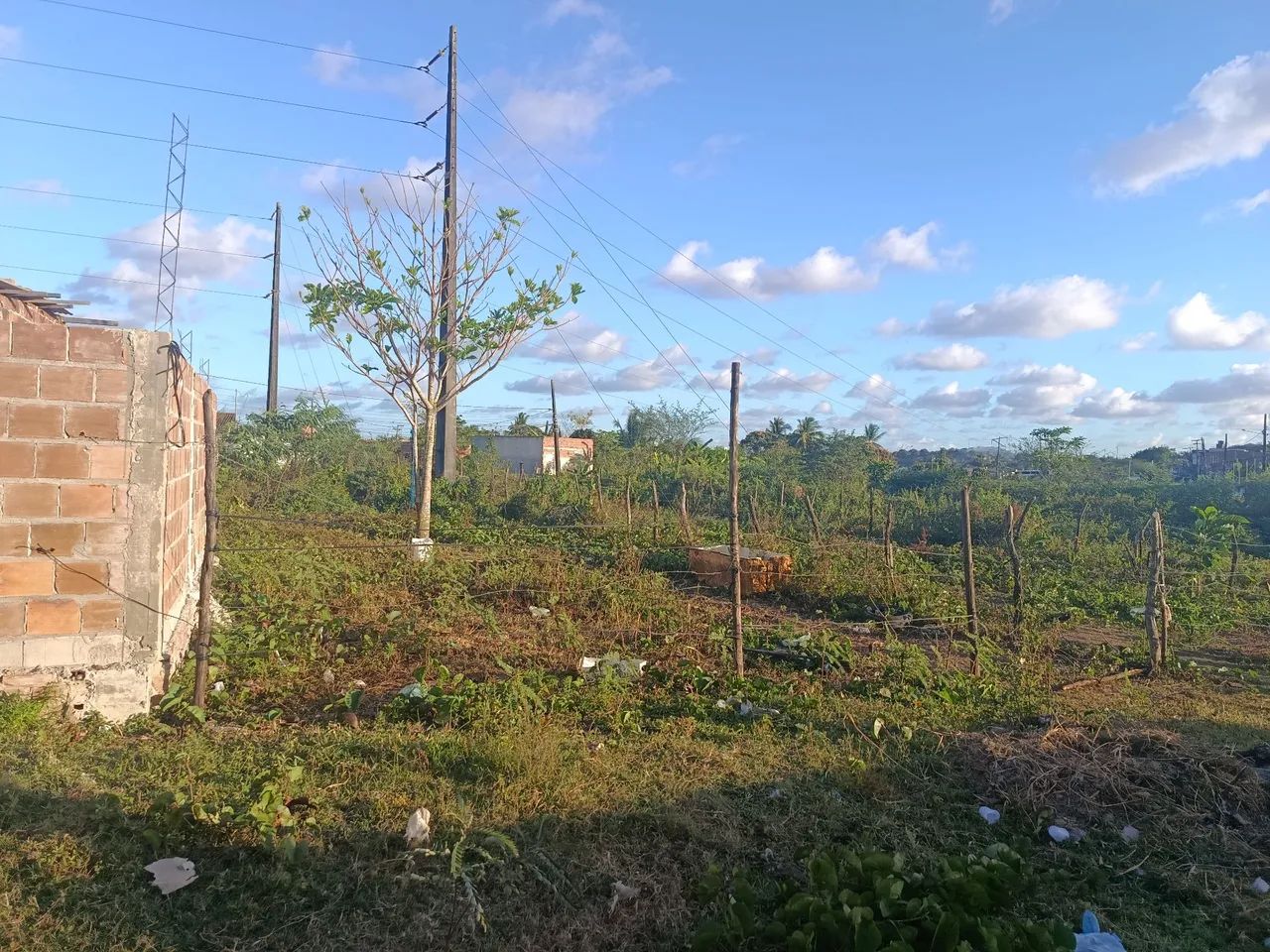 Vendo Terreno no Guarujá 7x 25 - Foto 5