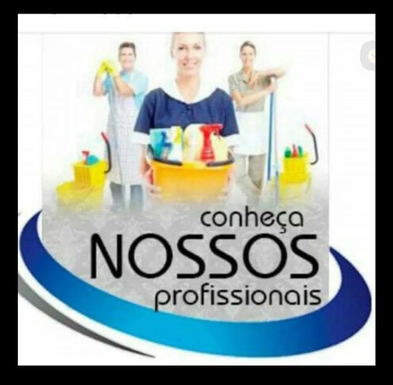 Diaristas 
