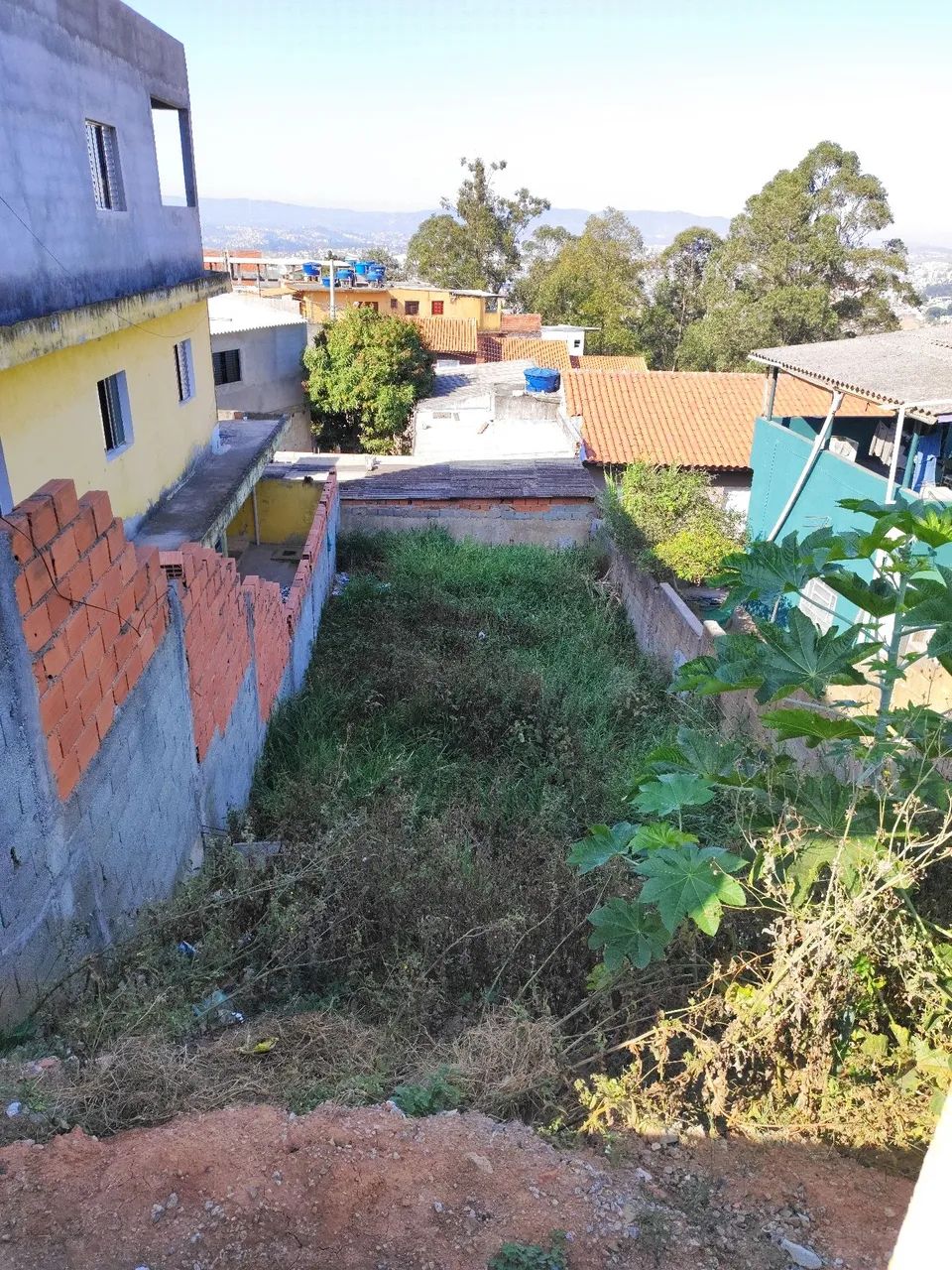 Foto - Francisco Morato - Jardim Arpoador
