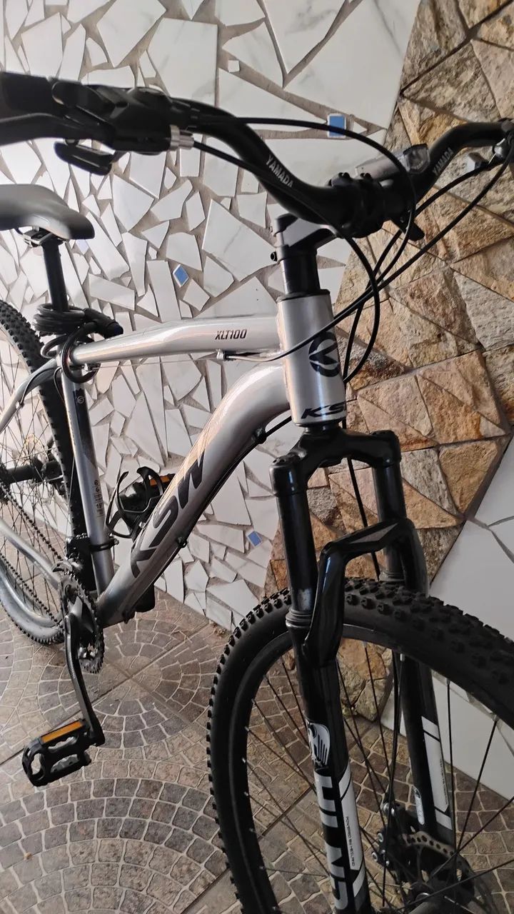 Mountain bike aro 29