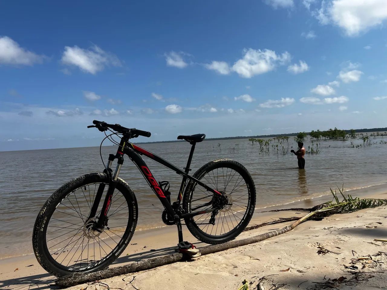 Bicicleta Oggy aro 29