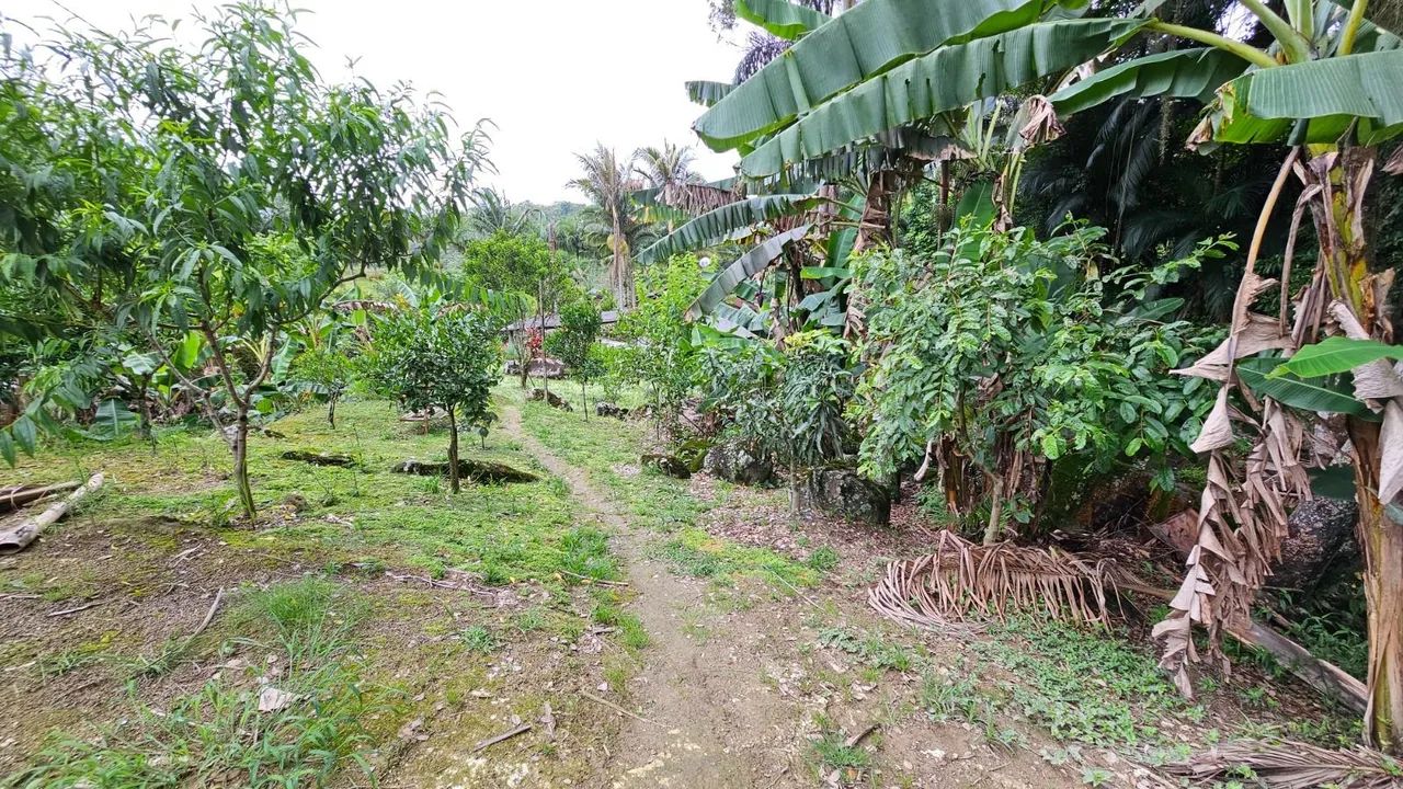 Sítio com cachoeira - Foto 5