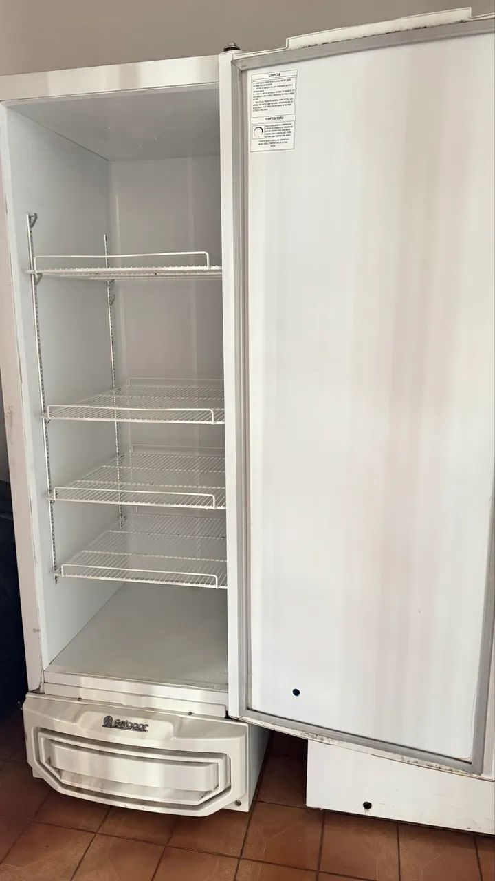 Frizer vertical por 3500,00 - Foto 2
