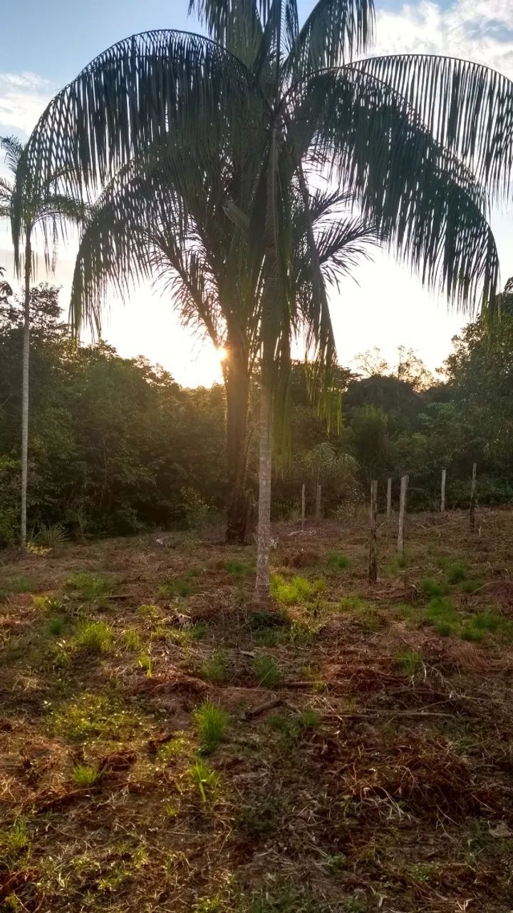 Terreno na AM 240 - Foto 4