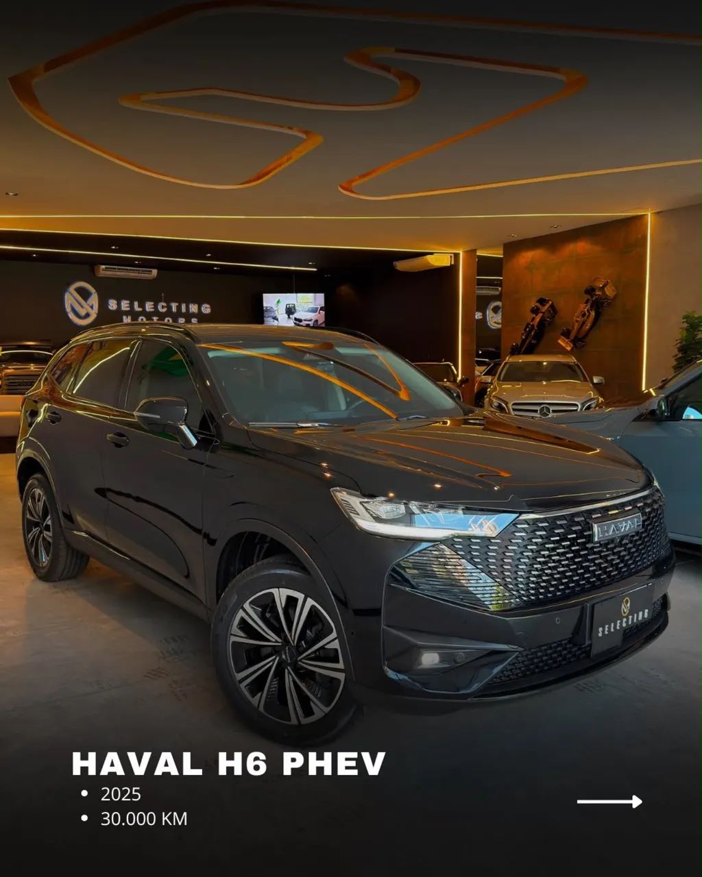 GWM Others 2025