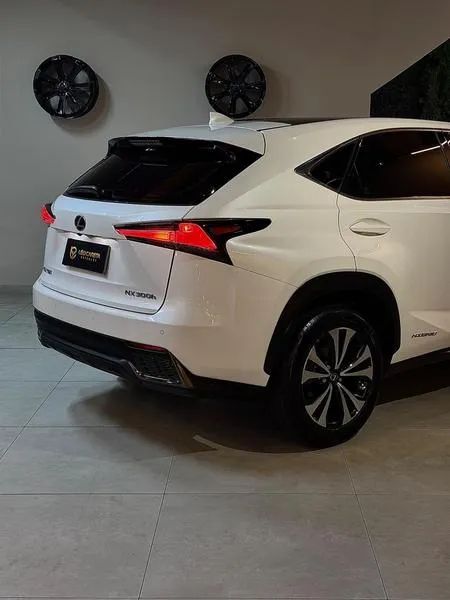 Lexus NX-300 H F-sport 2.5 16V Aut., foto 11 de 19