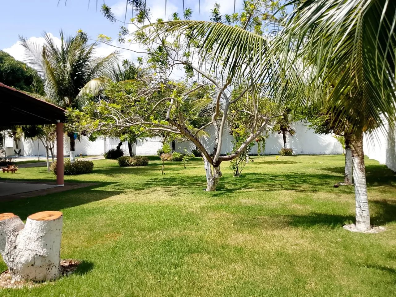 Vendo sítio próximo a lagoa do banana - Foto 3