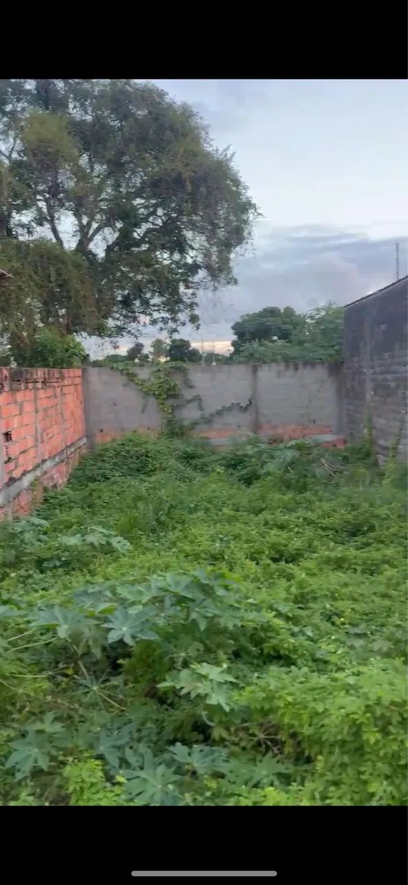 Foto - Salvador - Paripe