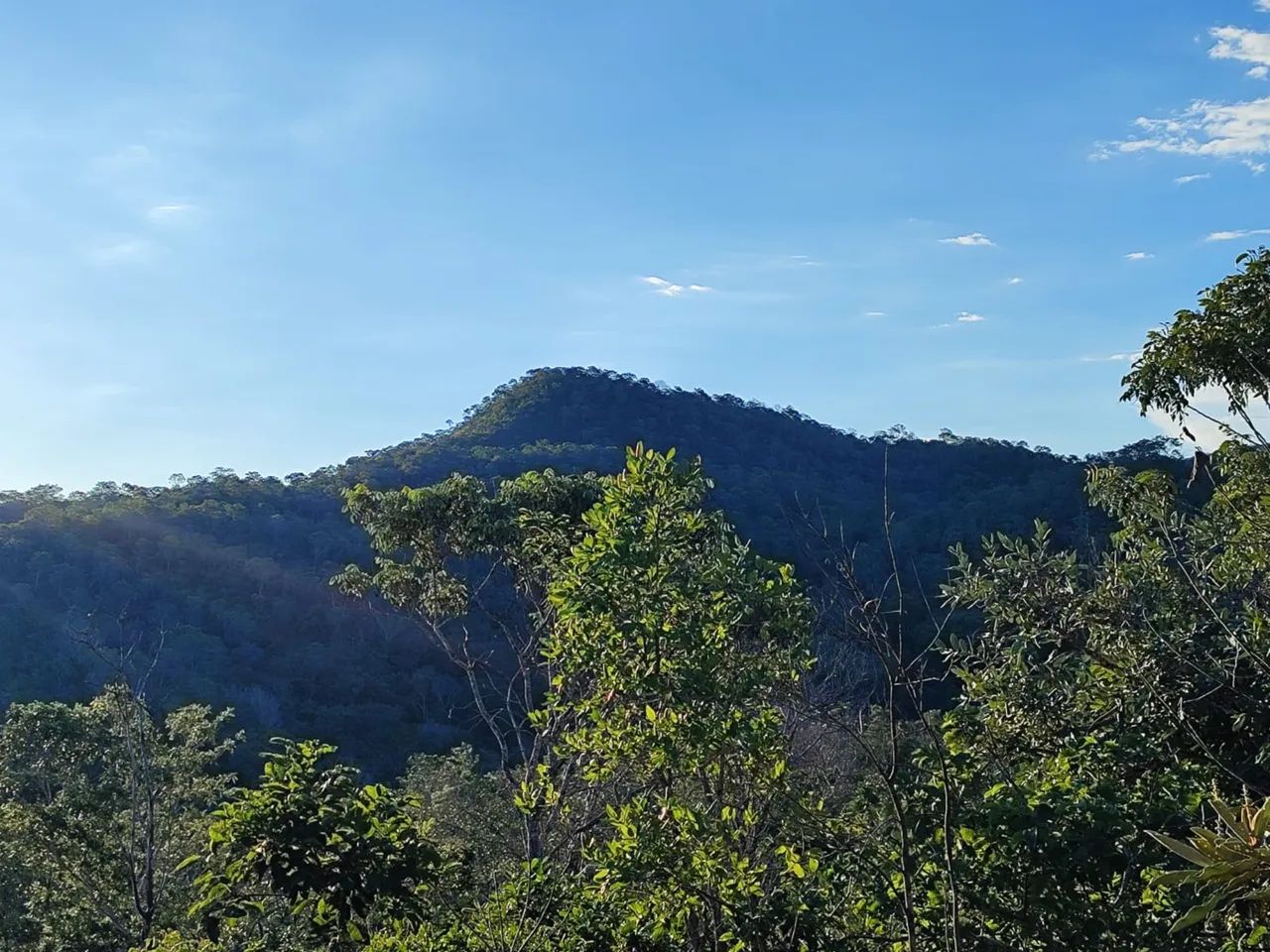 Venda - Foto 5