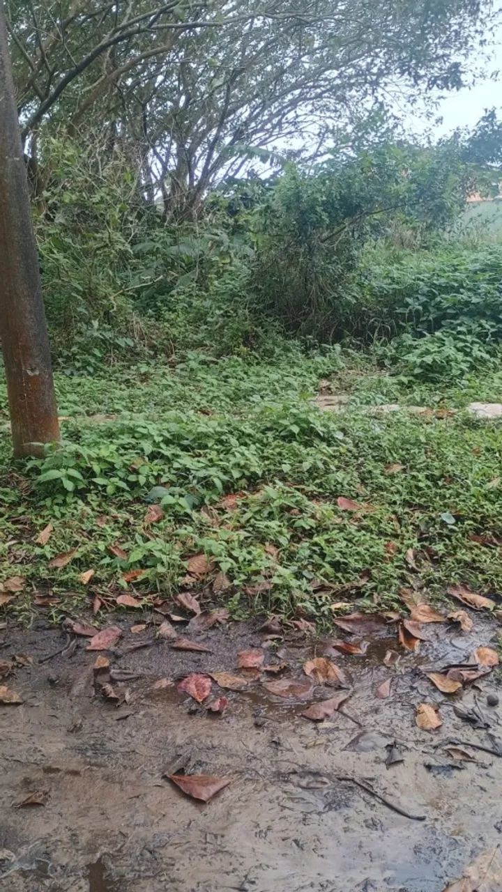 Terreno para Venda em Itanhaém, Cibratel 2 - Foto 4