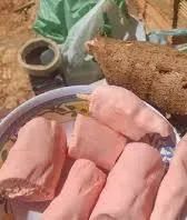 Manivas de mandioca rosa - Foto 3