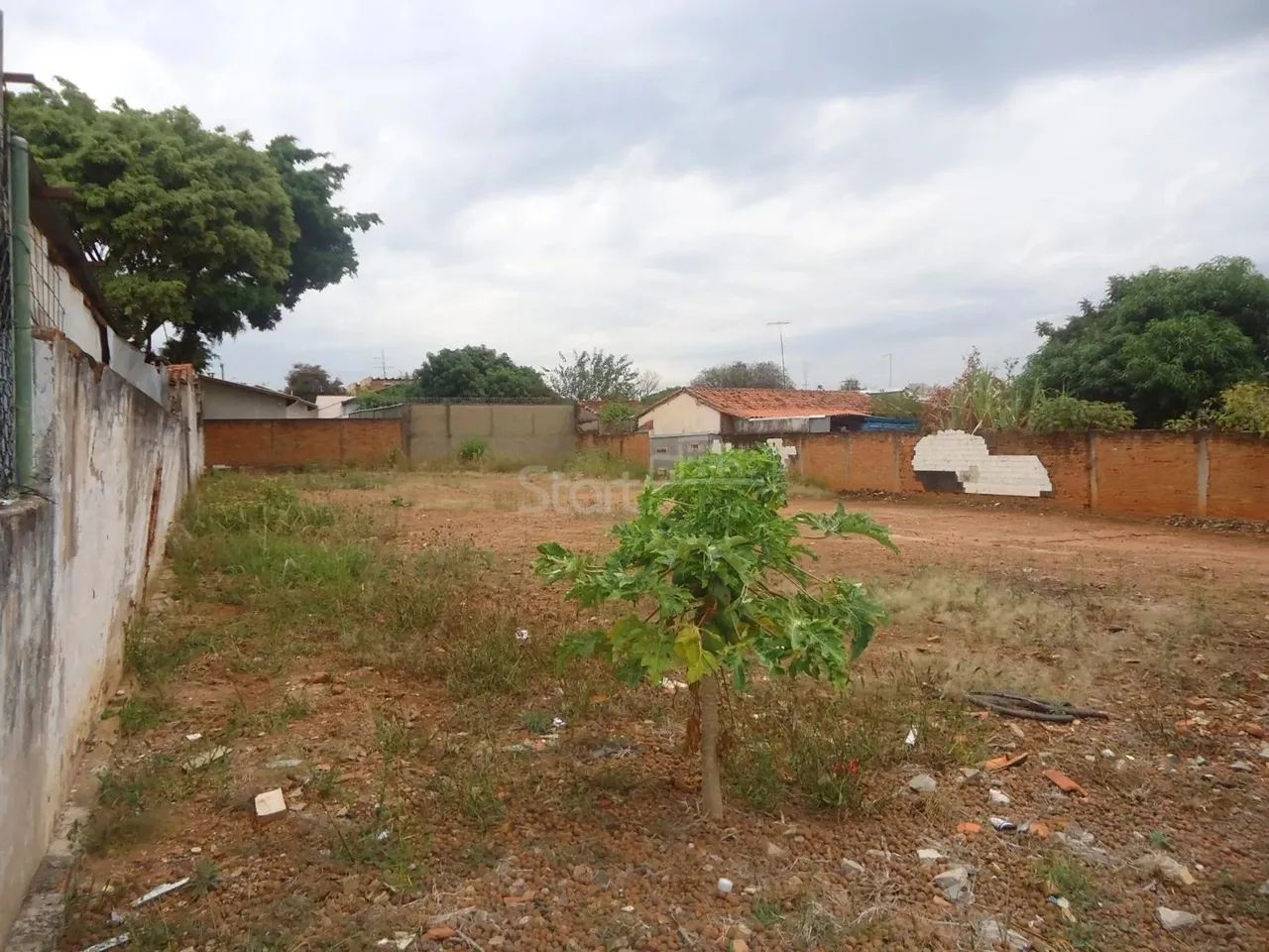 terreno - São Bernardo - Campinas - Foto 4