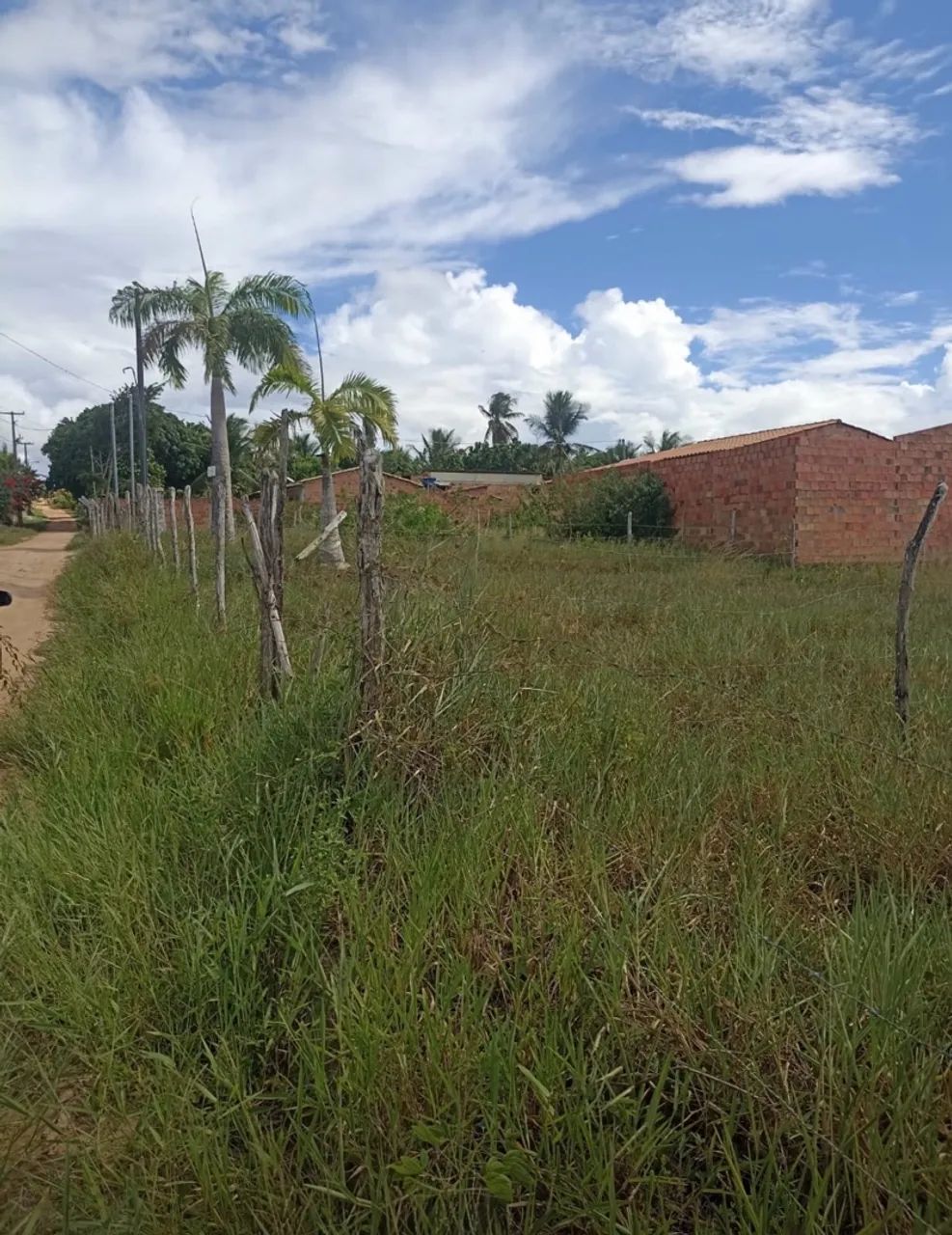 Terreno salgado/agua fria  - Foto 2