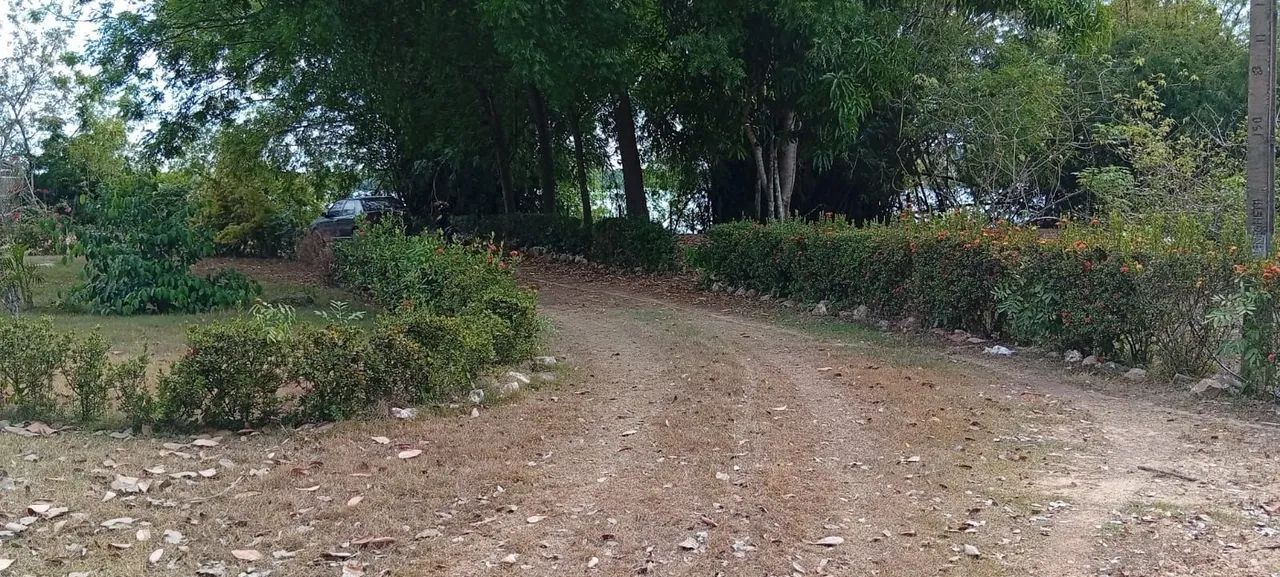 Chácara na beira do rio Tocantins - Foto 5