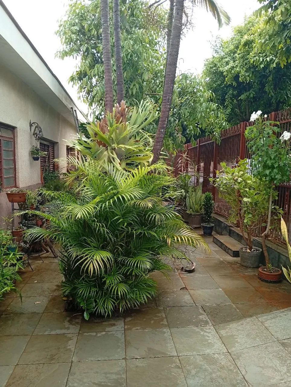 Foto - São José do Rio Preto - Bom Jardim