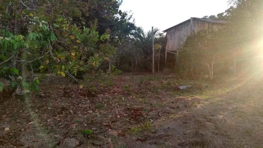 Terreno na AM 240 - Foto 2