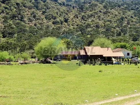 Terreno Rural com Benfeitorias - Urubici/SC - Foto 3