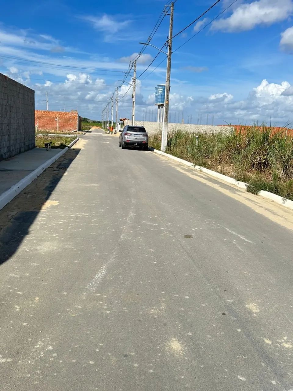 Vende-se 3 terrenos 