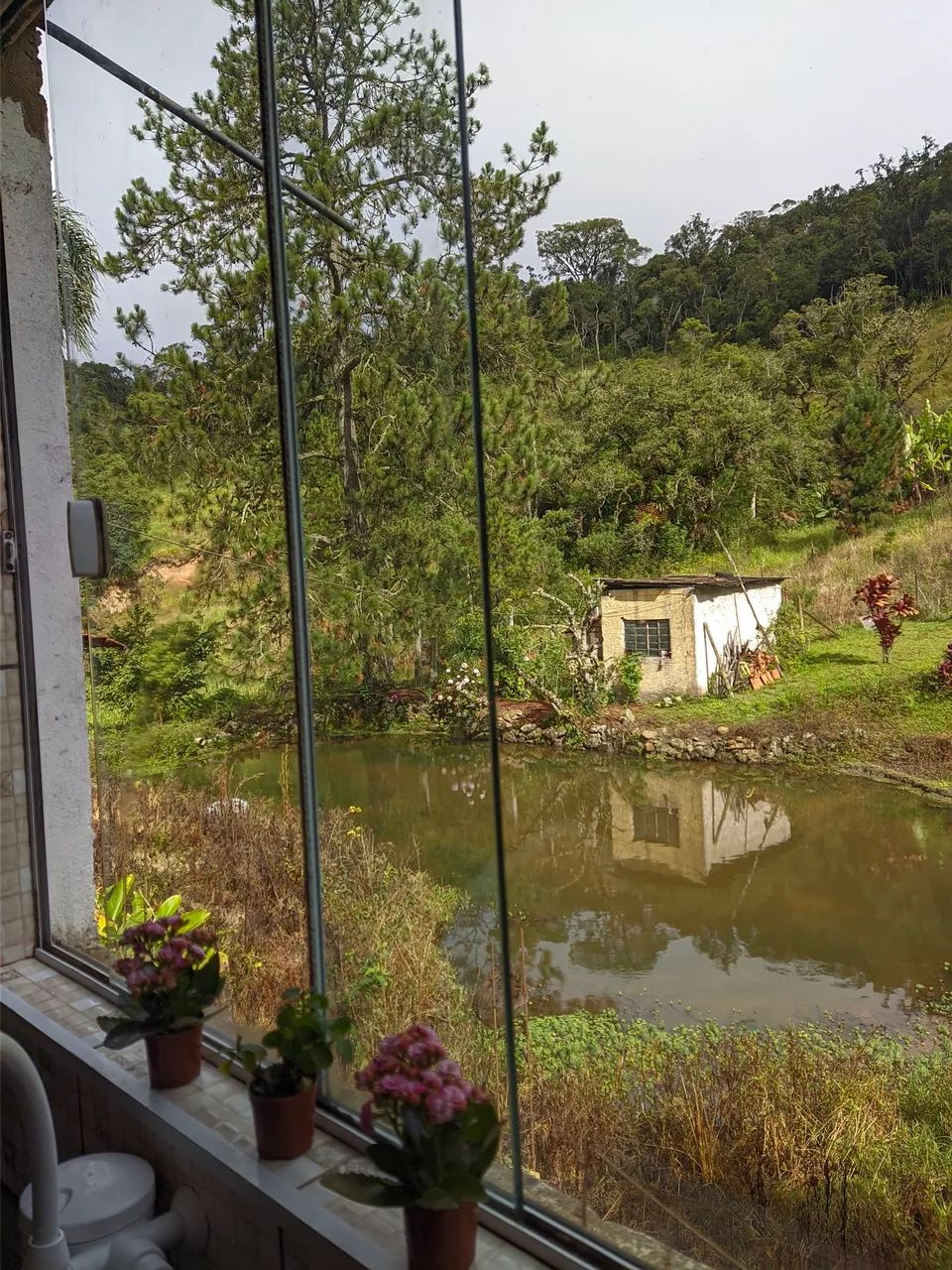 Pura natureza e água  - Foto 5