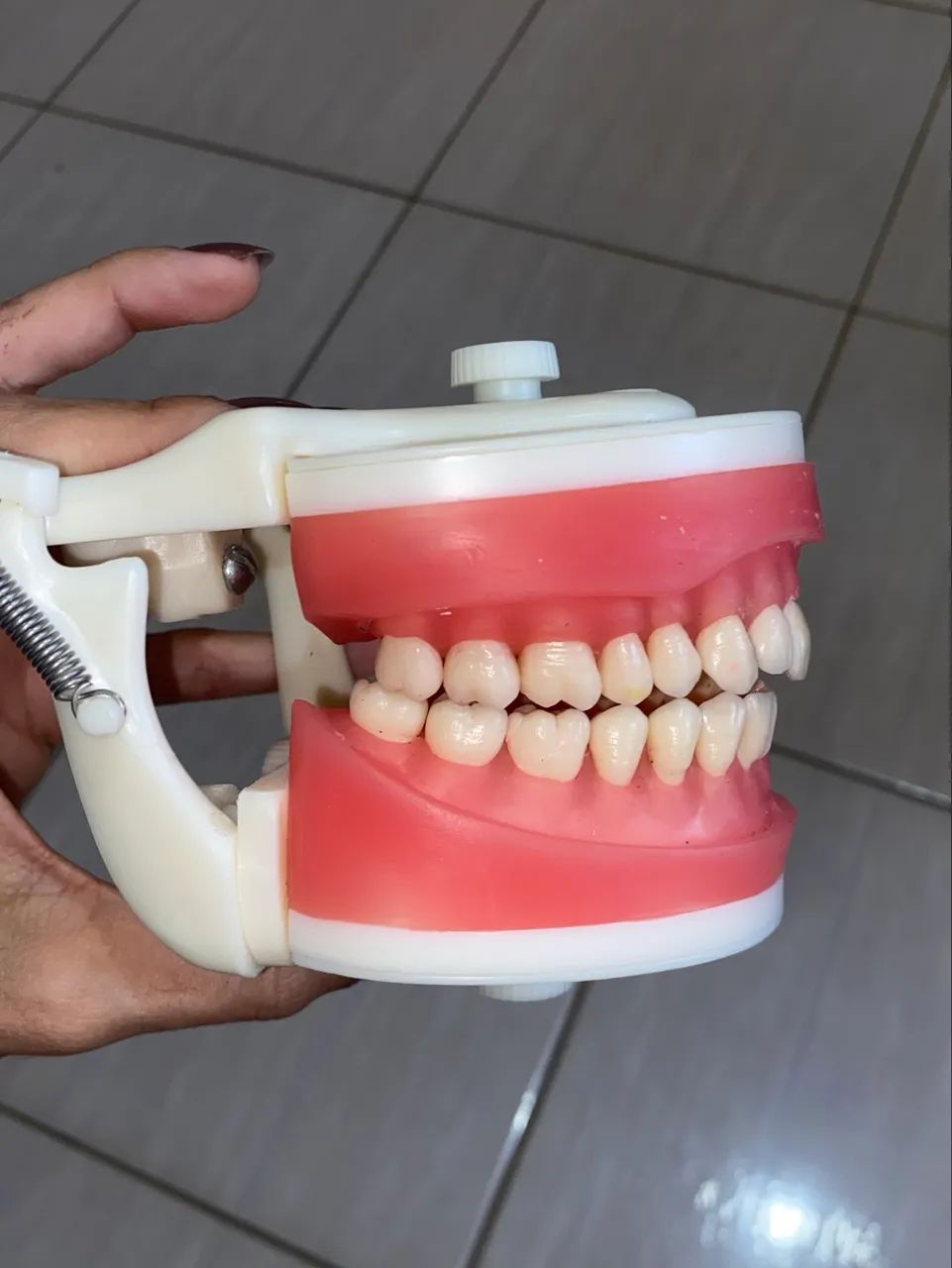 Manequim dentística - Pronew - Foto 2