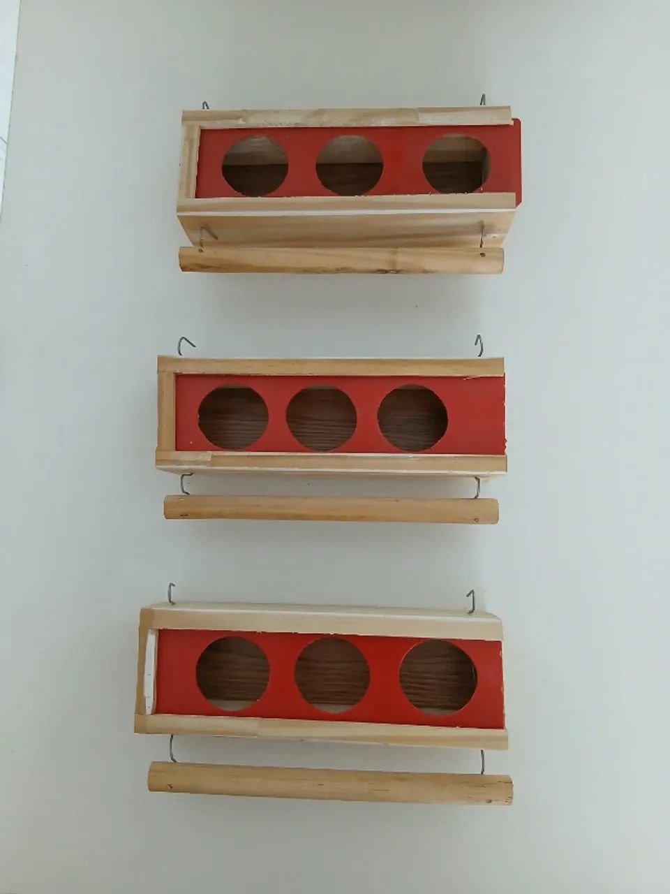 coinhos de pasaros - Foto 2