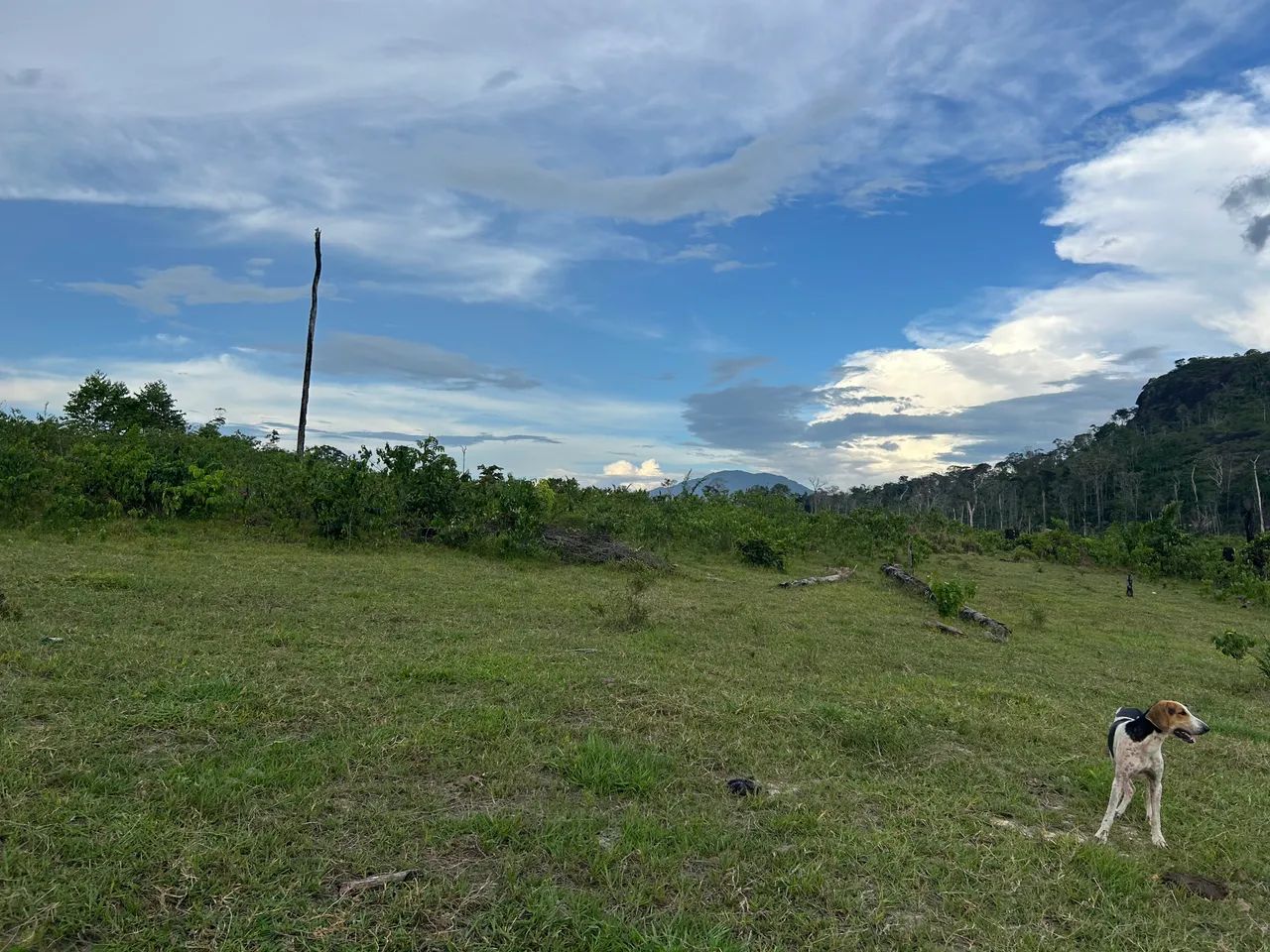 Lote a venda  - Foto 2