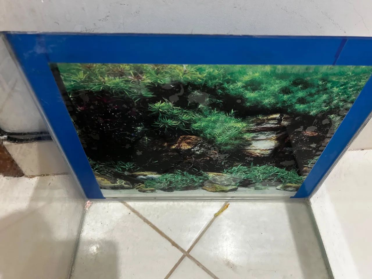 Aquário  - Foto 2