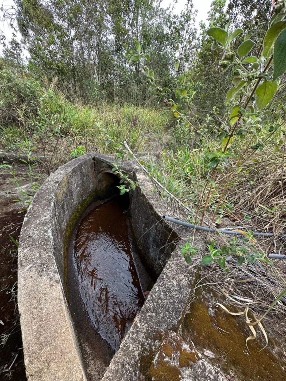 Fazenda Paineiras - 57,9 ha, Represa e Nascente - Foto 5