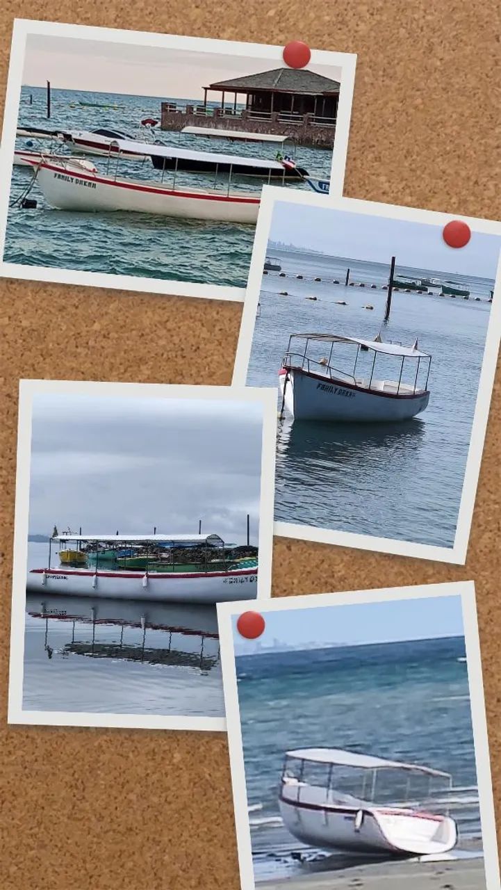 Barco fibra  - Foto 2